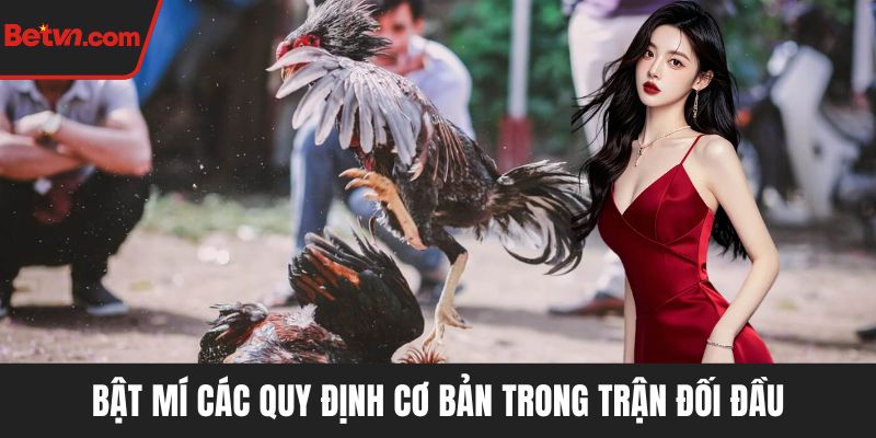 Bật mí các quy định cơ bản trong trận đối đầu