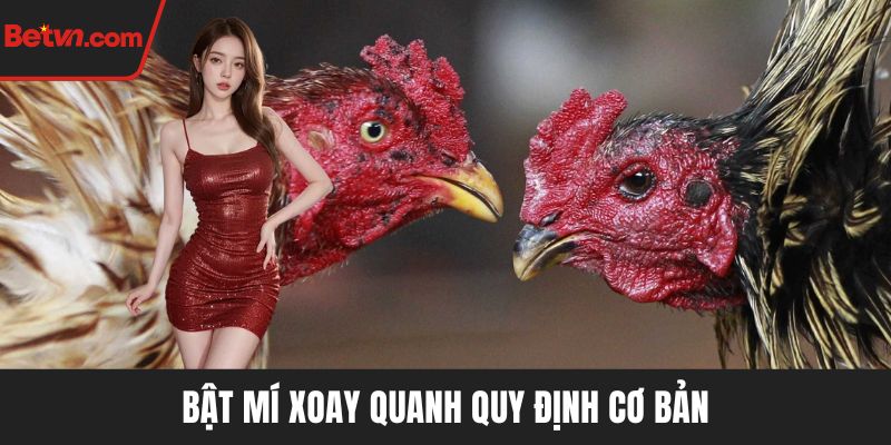 Bật mí xoay quanh quy định cơ bản