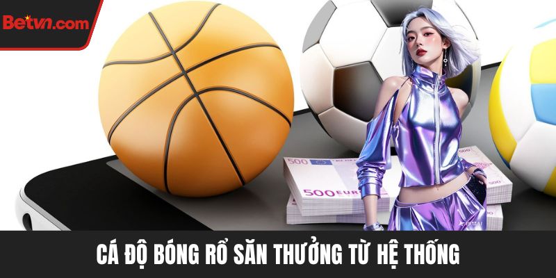 Cá độ bóng rổ săn thưởng từ hệ thống
