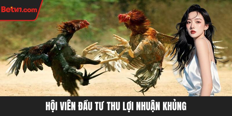 Hội viên đầu tư thu lợi nhuận khủng