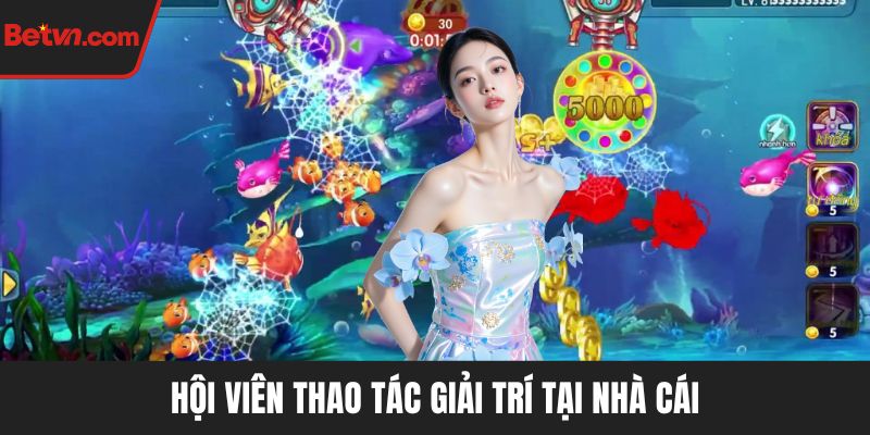 Hội viên thao tác giải trí tại nhà cái