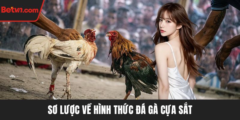 Sơ lược về hình thức đá gà cựa sắt
