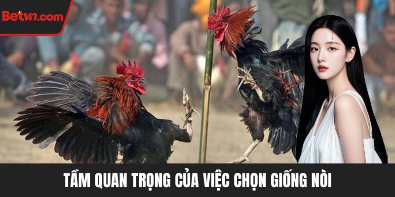 Tầm quan trọng của việc chọn giống nòi