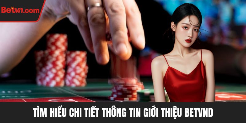 Tìm hiểu chi tiết thông tin giới thiệu BETVND