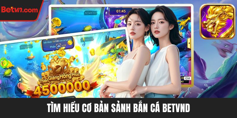 Tìm hiểu cơ bản sảnh Bắn cá BETVND